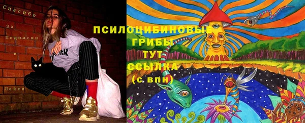 а пвп мука Горно-Алтайск