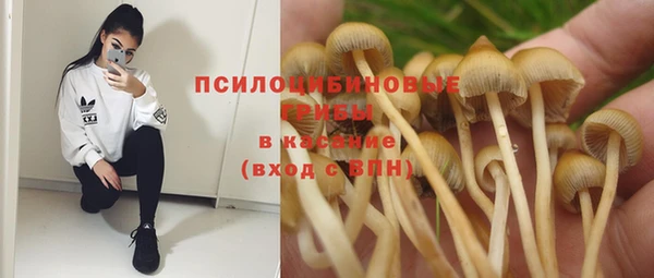а пвп мука Горняк