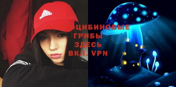 сатива Горнозаводск