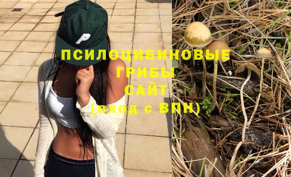 сатива Горнозаводск