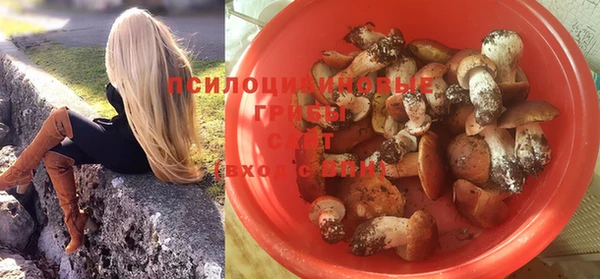 а пвп мука Горняк