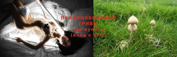 а пвп мука Горняк