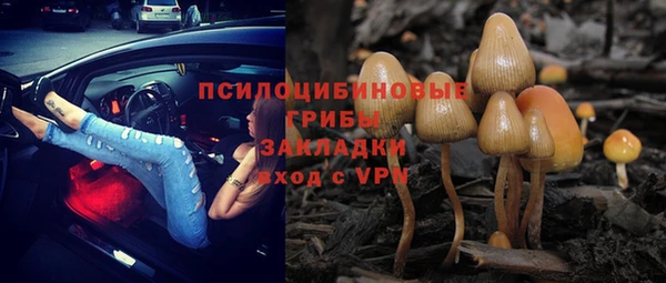а пвп мука Горняк