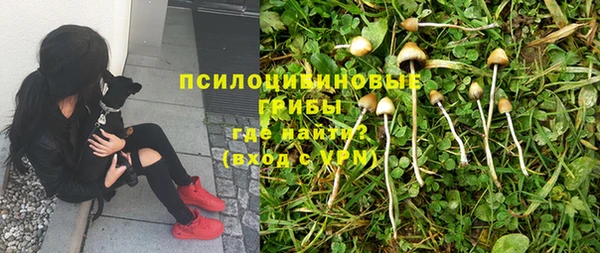 а пвп мука Горно-Алтайск