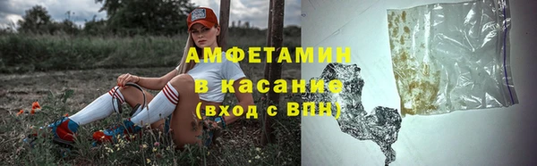 сатива Горнозаводск