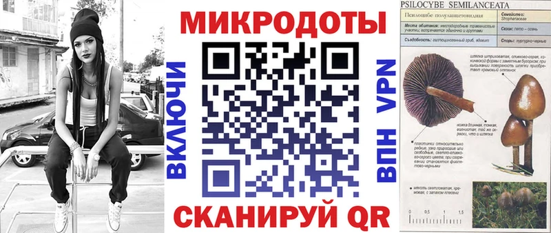 Купить закладки Каргат Галлюциногенные грибы Cubensis