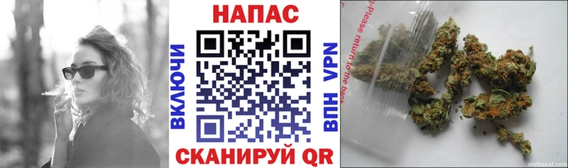 Канабис OG Kush  Купить закладки  Каргат 